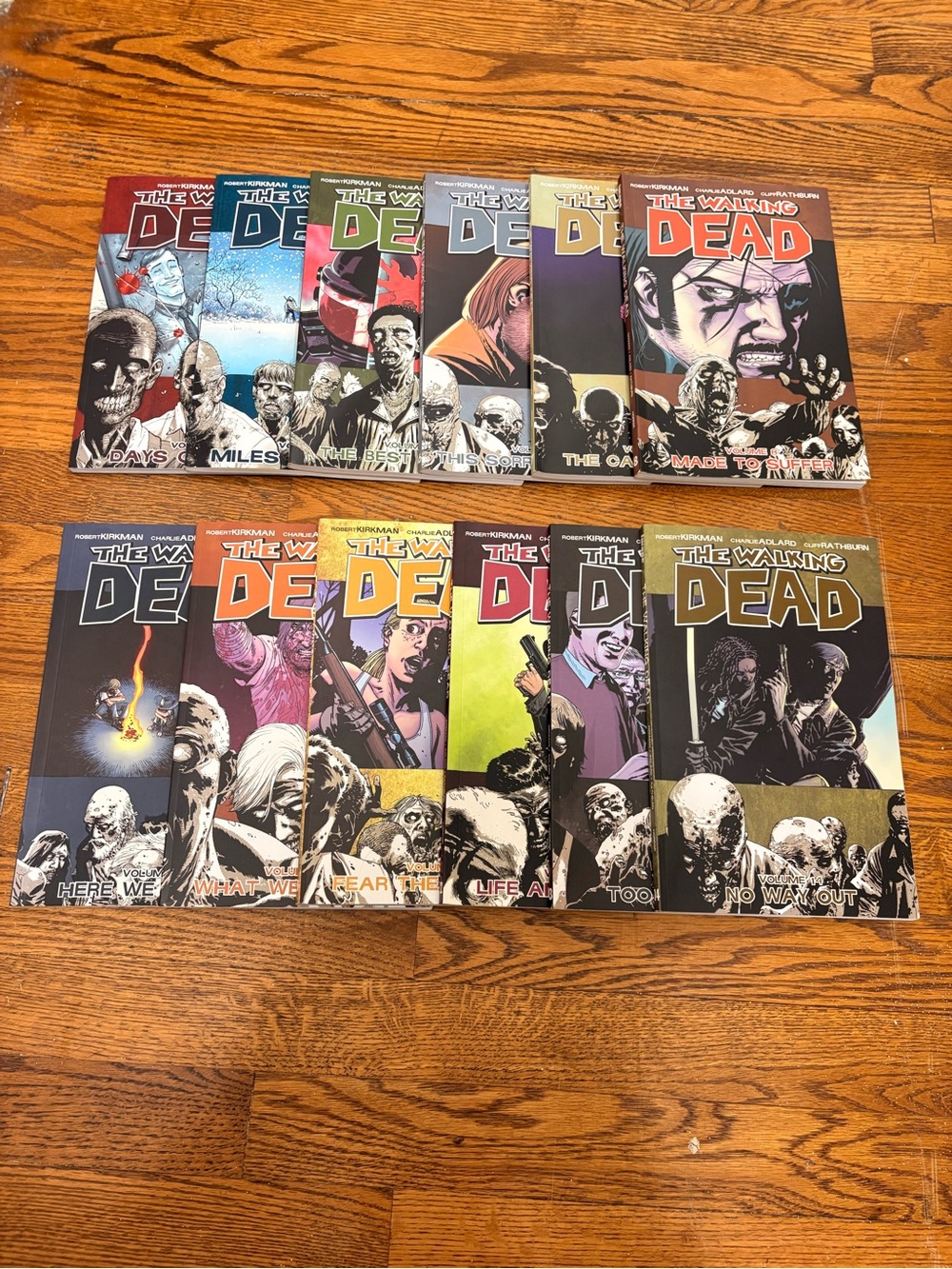 The Walking Dead Comic Book Lot